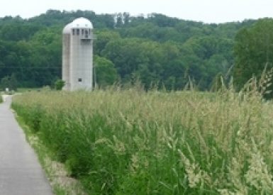 Roselle Park Silos And Bike Path