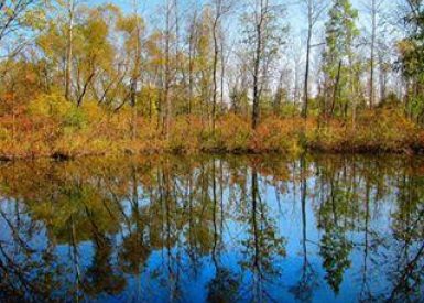 ada-park-pond-autumn