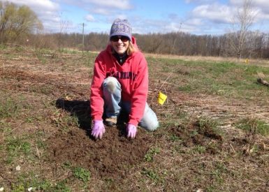 stewardship-penny-planting